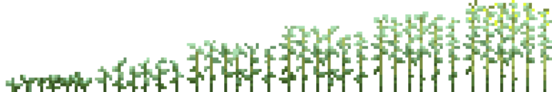 File:Jute (Phases).png