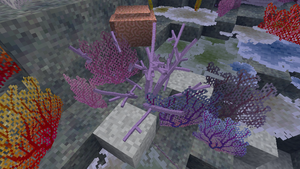 Staghorn Coral.png