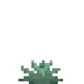 Agave (3).png