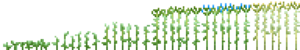 Flax Phases.png