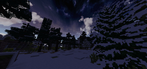 TFC Winter Morning.png