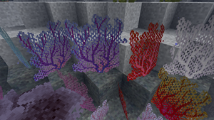Fan Coral.png