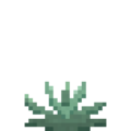 Agave (4).png