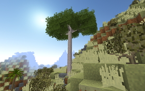 Ghaf Tree.png