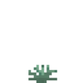 Agave (2).png