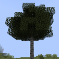 Aspen Tree+.png