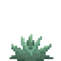 Agave (5).png