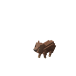 Wild Boar Baby.png