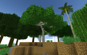 Mahoe Tree.png