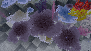 Table Coral.png