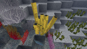 Tube Coral.png